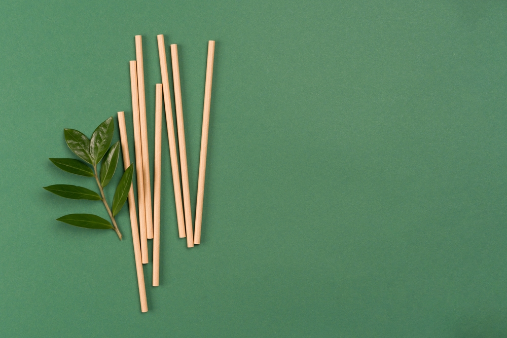 Biodegradable paper